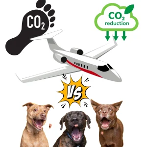 Pets versus Jets in respect of global warming?