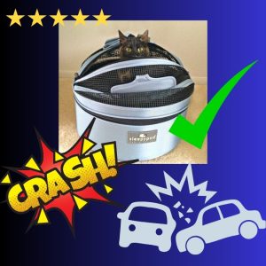 Sleepypod pet carrier is the best in a cat crash according to the CPS in the USA