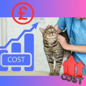 Rapidly rising cost of veterinary care in Britain is being investigated by the Competition and Markets Authority