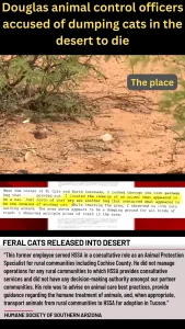 Douglas animal control officers accused of dumping cats in the desert to die