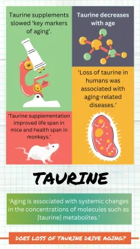 Taurine decreases with age. Does its loss drive aging or is the loss a consequence of aging?