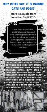 Why do we say ‘it is raining cats and dogs’. Infographic.
