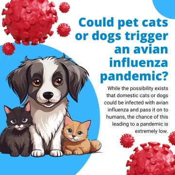 Could pet cats or dogs trigger an avian influenza pandemic? Unlikely.
