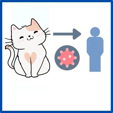 List of some zoonosis affecting cats