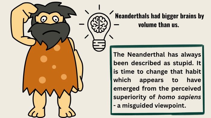 Neanderthals were not thick brutes