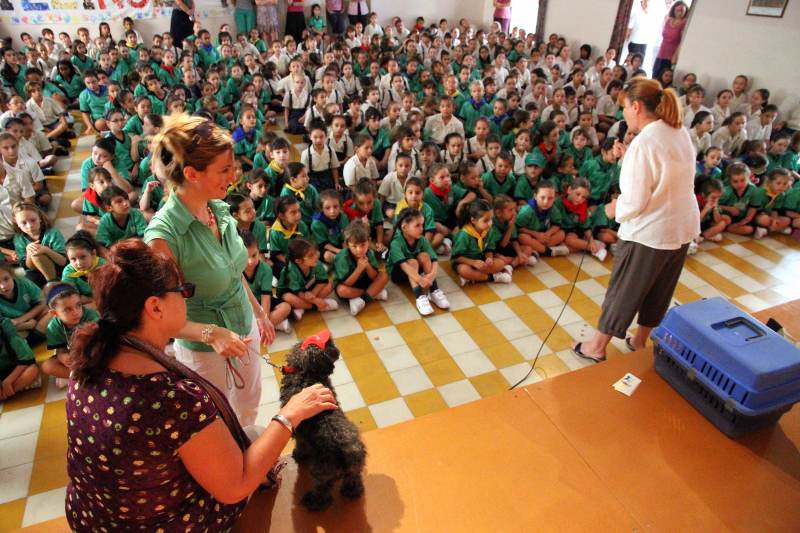 Martha Kane educating 4 - 10 year old children in Malta about cats and dogs