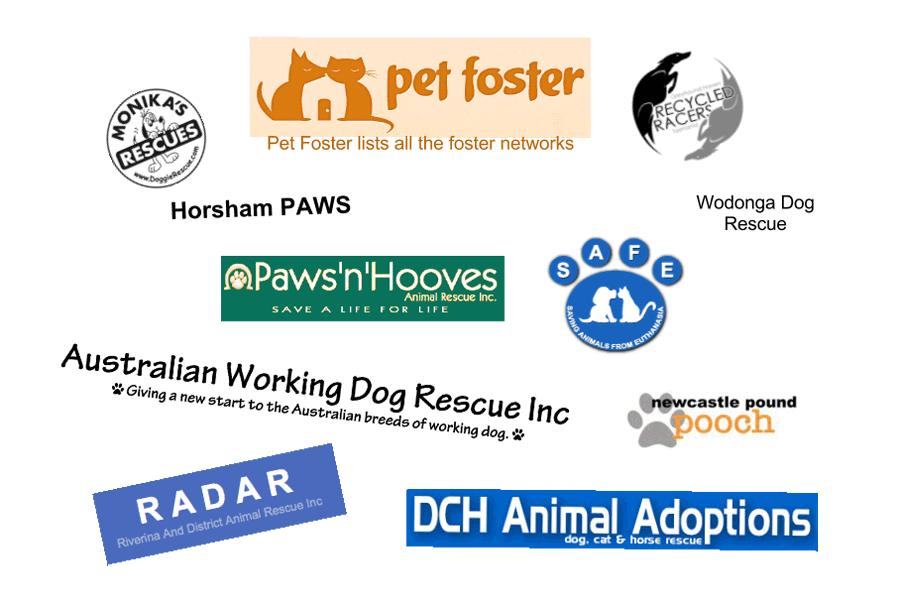 Animal Rescue Australia 