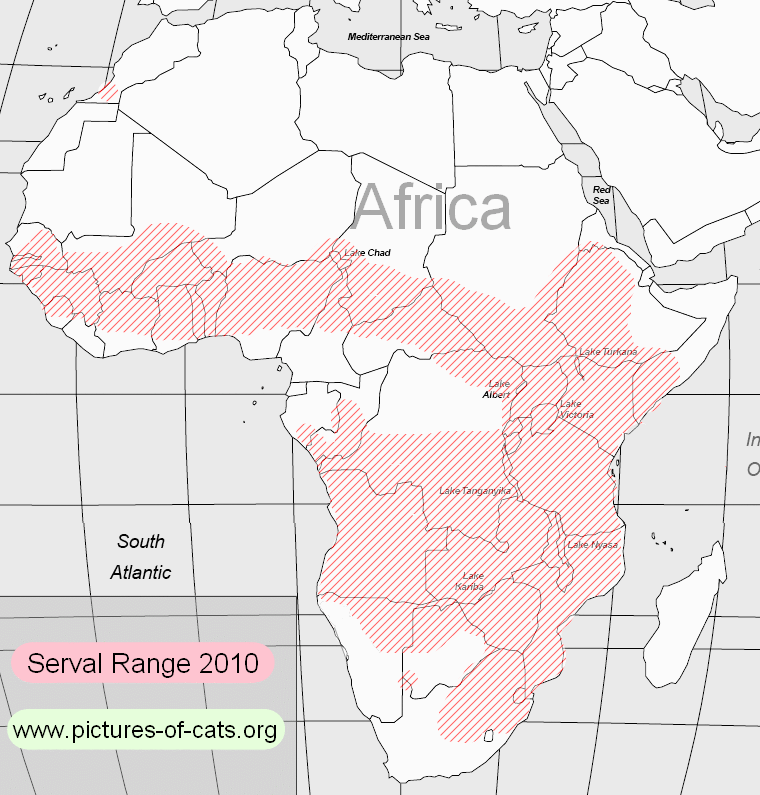 Serval range map 2010