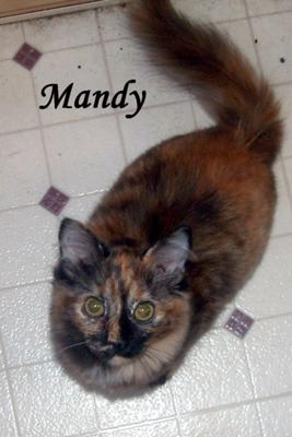 It's time to feed me mama