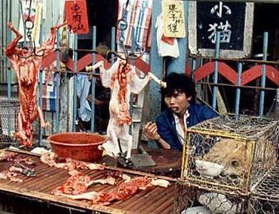 cat meat market - pictures of cats