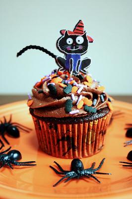 Chocolate Cupcake with Cat on Top - Photo by freakgirl