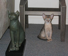 egyptian cat and statue