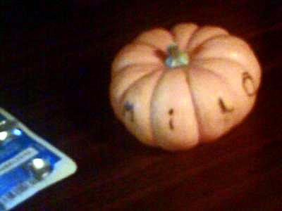 Tiny pumpkin with her name on it
