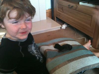My 4 year old brother with my [2?] week old kitten