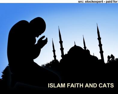 Cats and the Islamic Faith