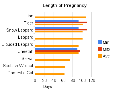 chart showing how long cats are pregnant for