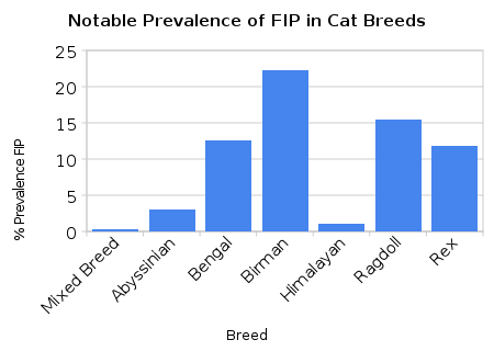 Prevalence of FIP in cat breeds