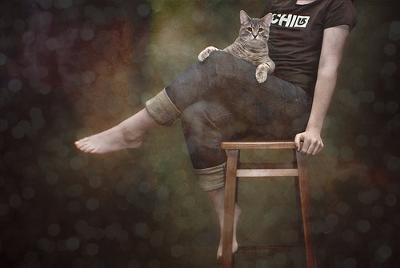 Cat and Person in Harmony<br />photo by zebra.paperclip