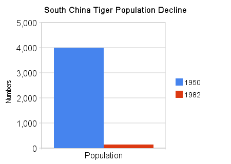 chart showing the decline in the South China tiger population from 1950 to 1982