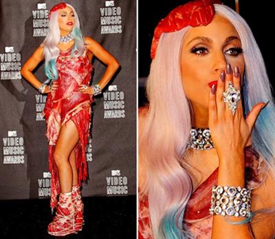 Lady Gaga Meat Dress - someone tried to copy it with a cat. Photo by Beth77 (creative commons on Flickr 17-40-11)