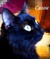 Casper is now Cassie Casper is now Cassie