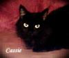 Another of Cassie Another of Cassie