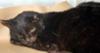 Sealys death row shelter photo Sealys death row shelter photo