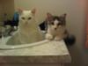 With adopted sister Libby