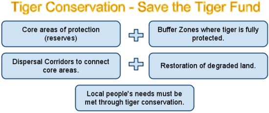 save the tiger fund strategy for saving the tiger