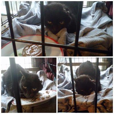 Sealy has a great appetite! Sealy has a great appetite!