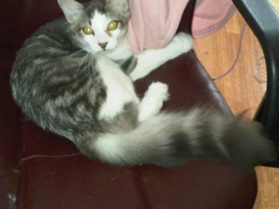 6 months old